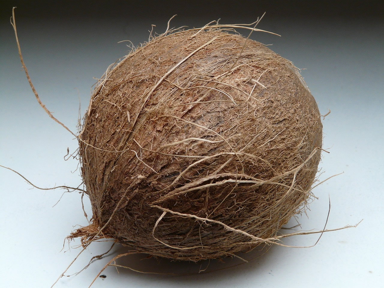 foto de un coco para la fibra de coco como aislante térmico natural y ecológico